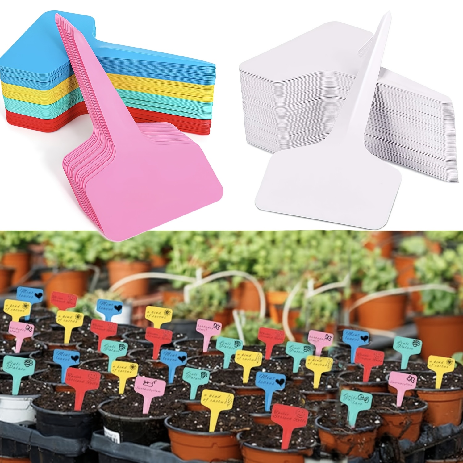100 étiquettes De Jardin Réutilisables Pour Plantes - En Plastique Blanc, Avec Ficelle - Marqueurs Extérieurs - 8