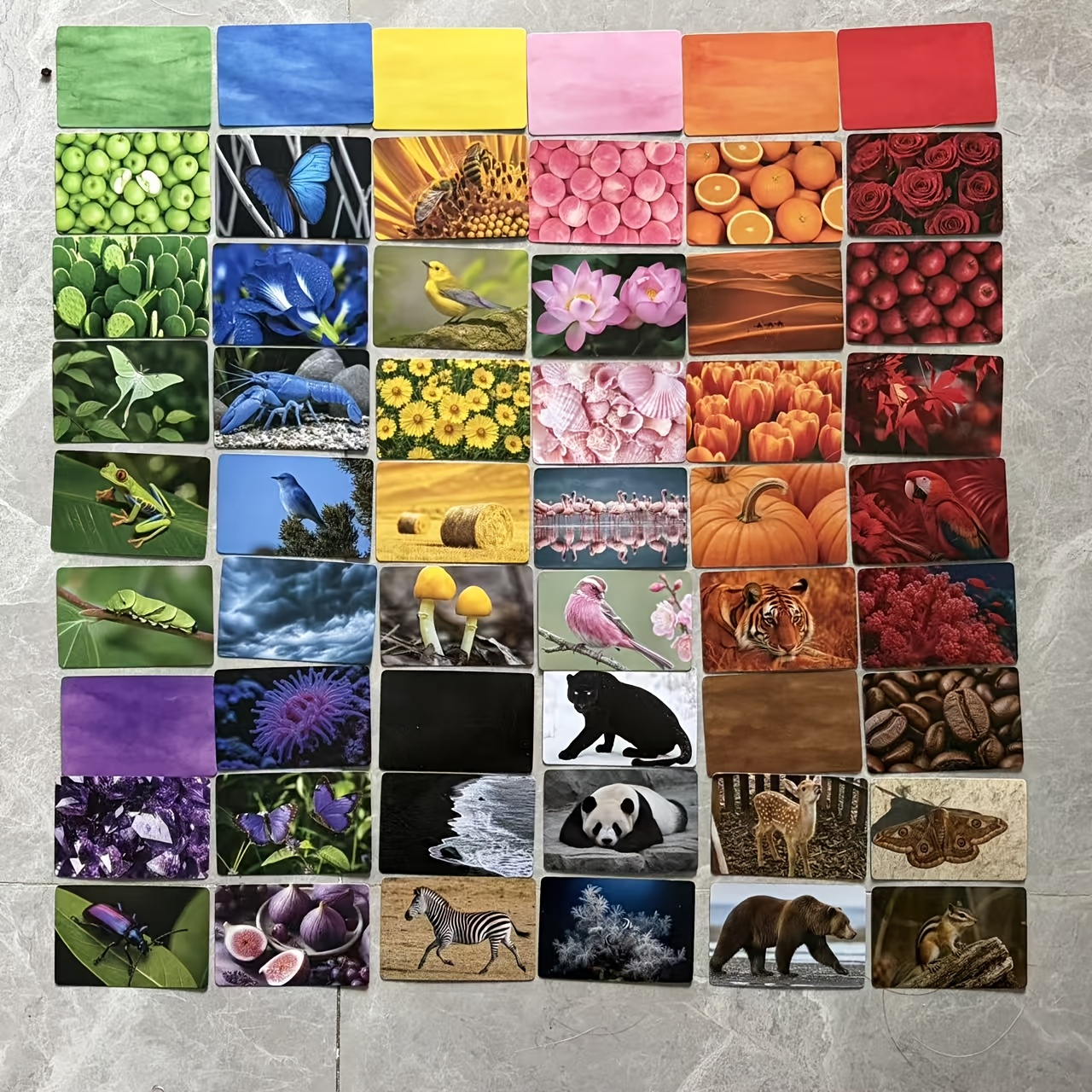 TEMU Lot de 54 pièces d'aide à la distinction des couleurs et à (Adulte) - 98 images de réels imprimées , assortiment de couleurs et plaisir ,