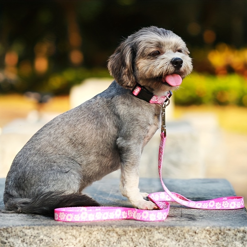 Collar and Leash Set for Small Dogs, Printed Design