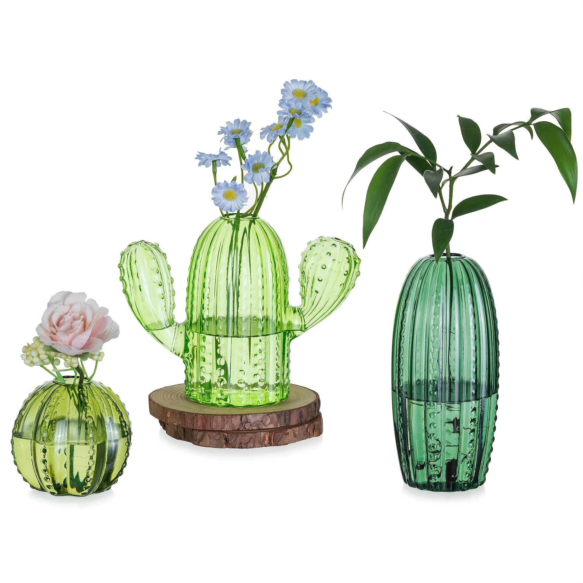 set 3 cactus glass plant propagation stations unique - Temu Oman