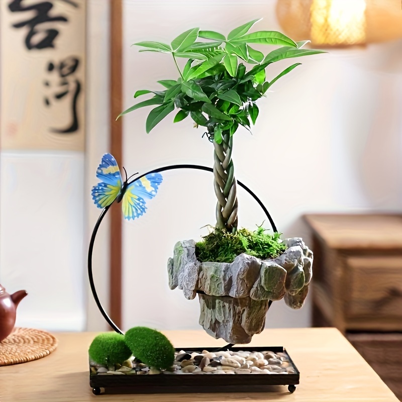 

1pc Plant Moss Plant Bonsai Iron Art Micro Landscape Pot Applicable Fern Tree (only Sell Bonsai, Does Not Plants) (gift Color Random)