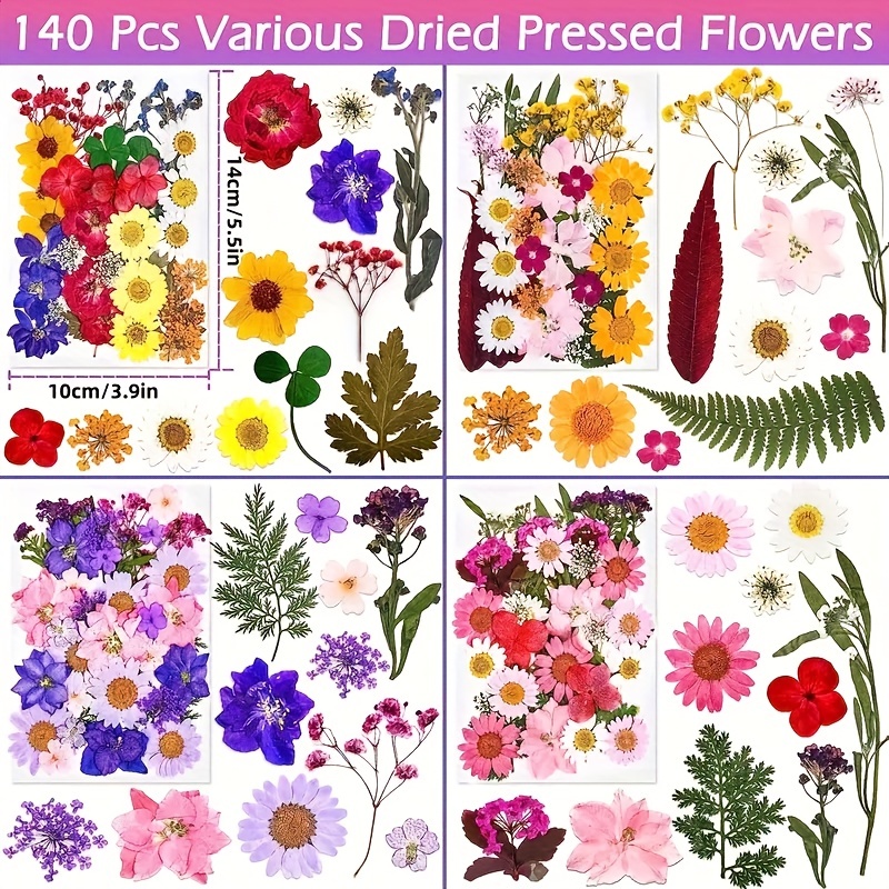TEMU 140pcs Vibrant Dried Flowers And Leaves Set - Nature-inspired Decoration Kit For Diy Crafts, Resin Jewelry, Scrapbooking And More