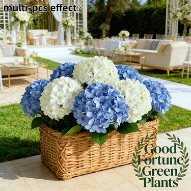 Conjunto de 4 Peças de Buquês de Hortênsias Artificiais Decorativas Premium para Feriados de Primavera com Hastes, Flores Falsas Realistas de Cor Sólida, Combinação Multicolorida, Semelhantes às Reais, Resistentes ao Desbotamento e Eternas, Exibição de Longo Prazo sem Necessidade de Manutenção