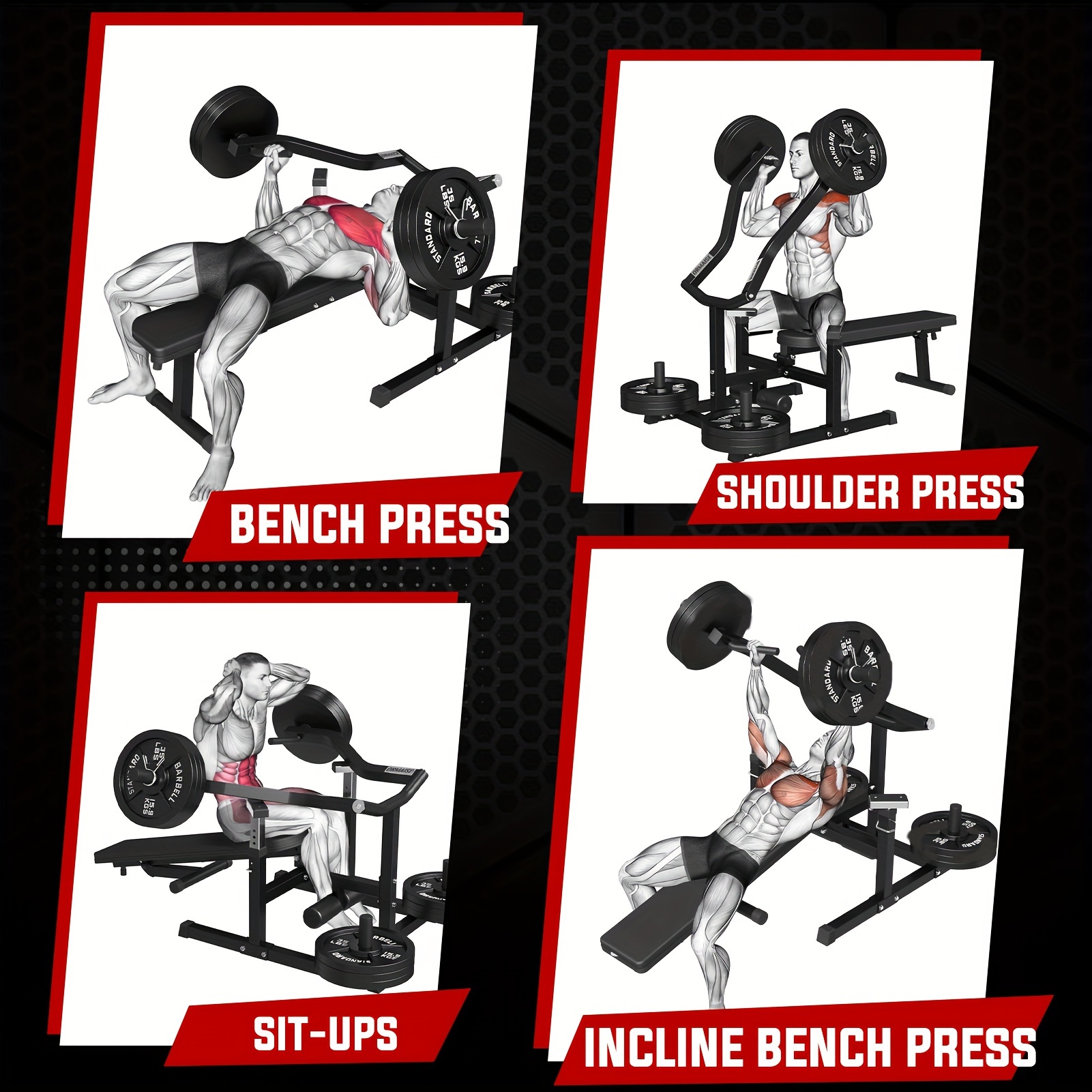 Chest Press Machine, 1250LBS Capacity with Independent Converging Arms, Adjustable Flat Incline Fitness Bench for Home Gym — Zaynora Luxury Marketplace