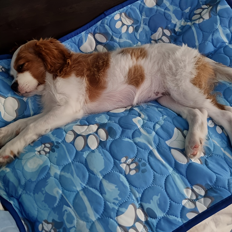 TEMU 【ペット用】厚手 大型犬用 アイスクールマット