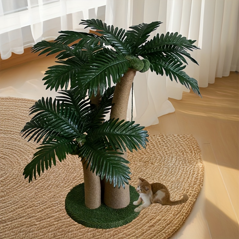 dracaena dracaena sp Dracaena marginata  The Victorian Atlanta