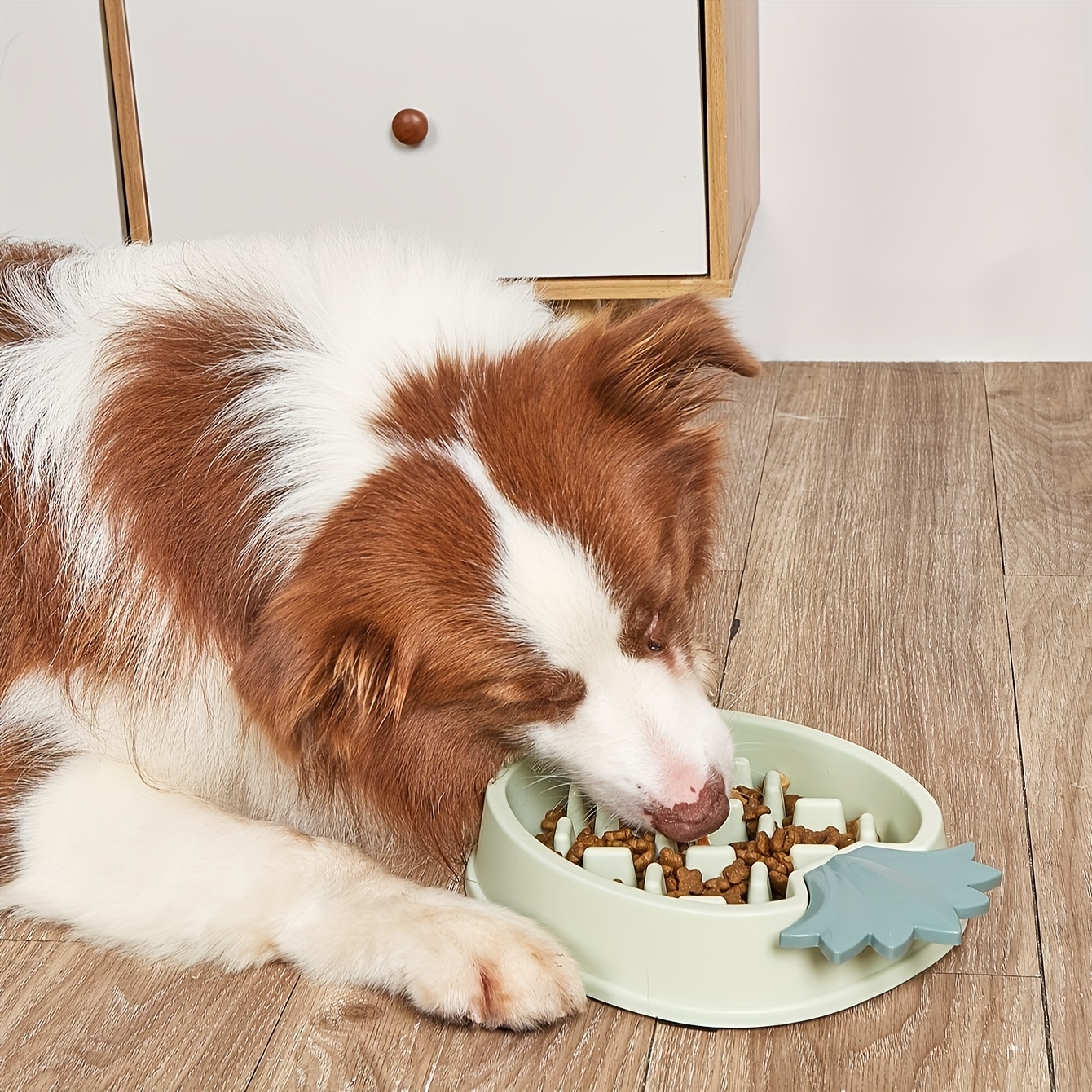 Puppy gulping food best sale