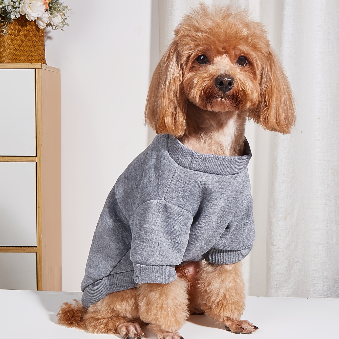 1pc summer pet sweatshirt casual and comfortable plain color clothes for dogs and cats Product details 0