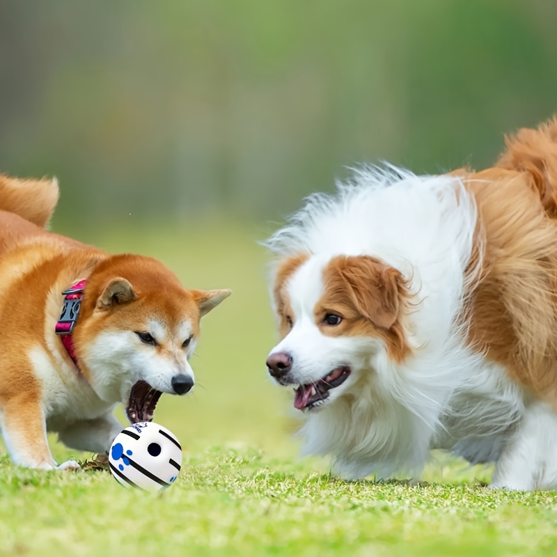 Interactive Sound-Emitting Dog Toy Ball for Pets