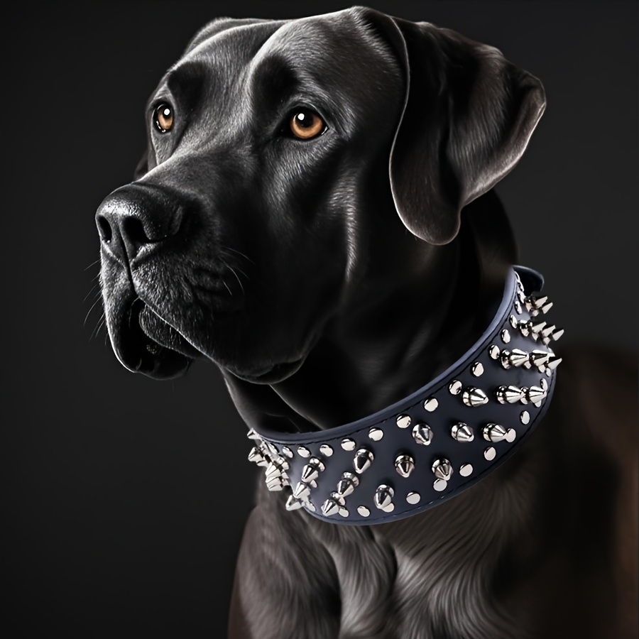 DOG COLLAR WIDE ブラック Amazon.com : Dogs My Love 3