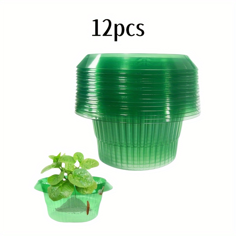 E-shop 12 Stück Grüne Transparente Saillingsabdeckung, Schnecken- und Schädlingsbarriere, Verdickte Runde Saillingsabdeckung, Schöne Gartenerhaltung ,