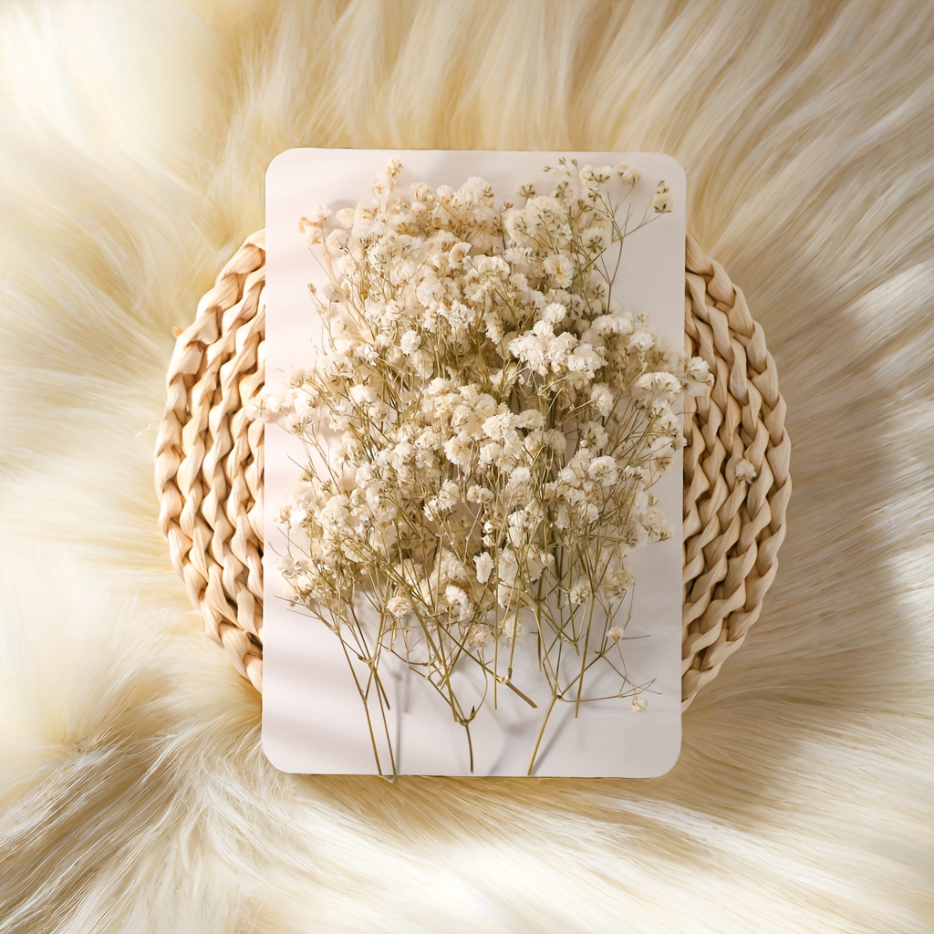

150/200pcs, Short White Mini Dried Baby Breath Flower Gypsophila Ivory Flowers For Vase Wedding Home Office Party Garden Card Making Decor, Diy Decor