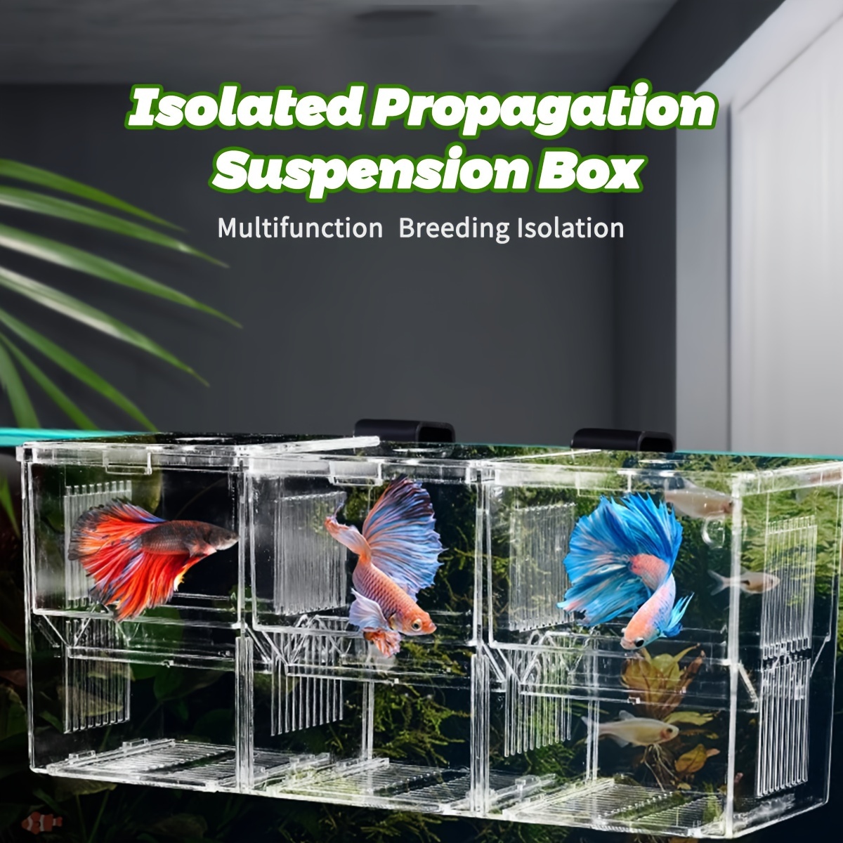 

1pc Acrylic Fish Isolation Breeding Box, Transparent Square Hatching Incubator With Suction Cup For , , Betta - Material