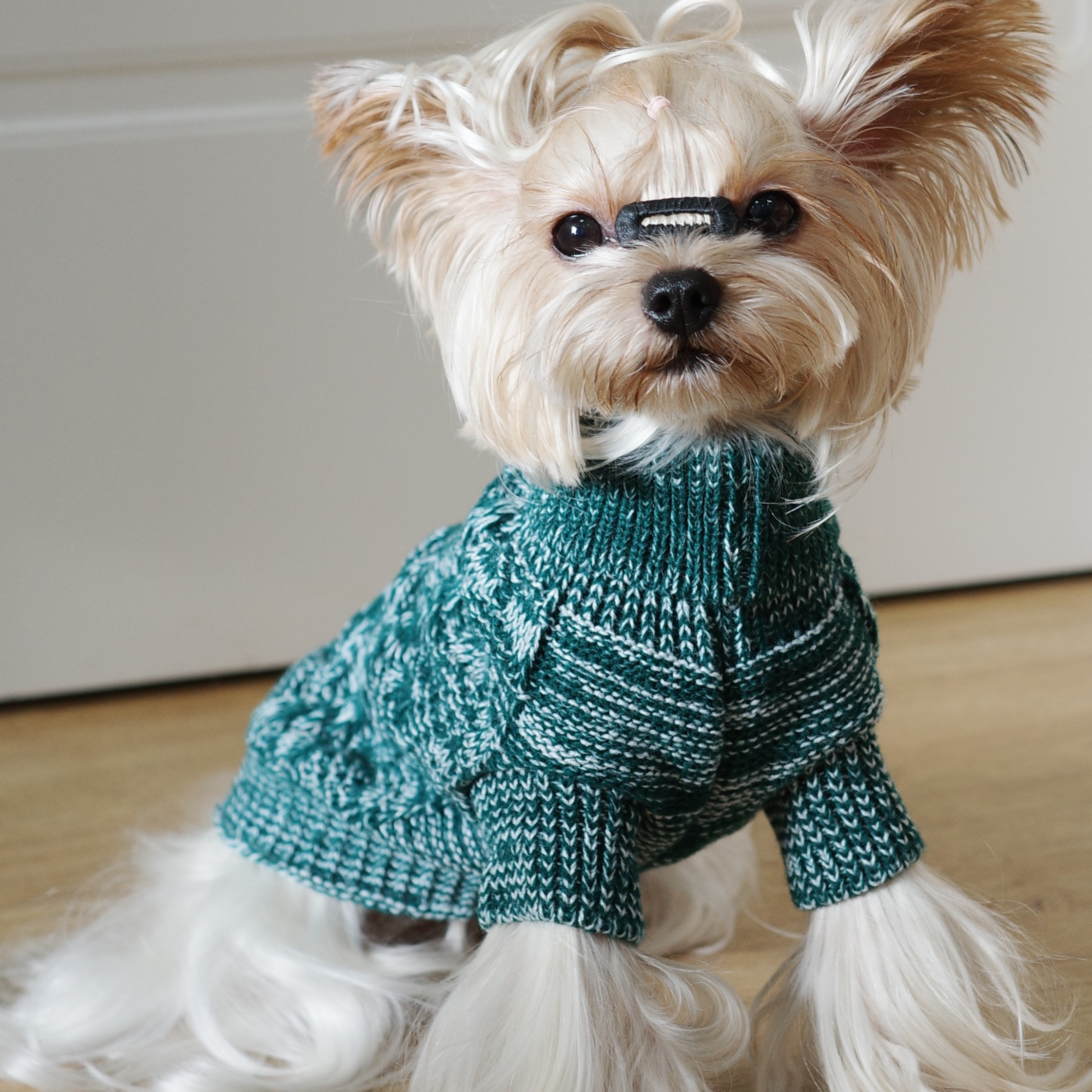 

Cozy & Stylish Teal Turtleneck Pet Sweater - Warm Knit Pullover For , Machine Washable, Fits All , Sweaters For Dogs