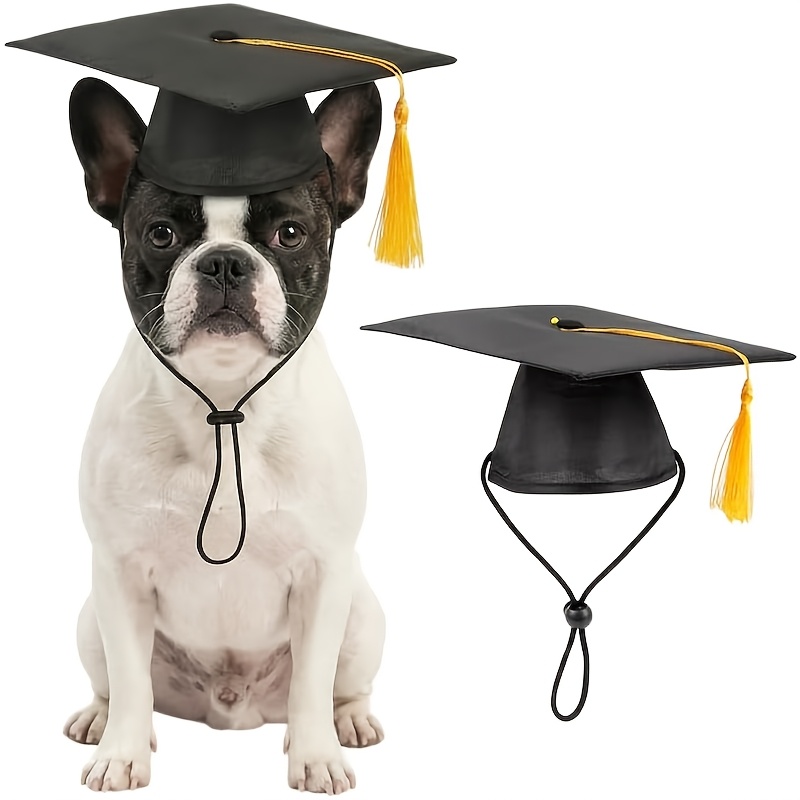 TEMU 1pc Pet Hat Doctoral With Tassels Dog Dog Graduation Black Pet Graduation