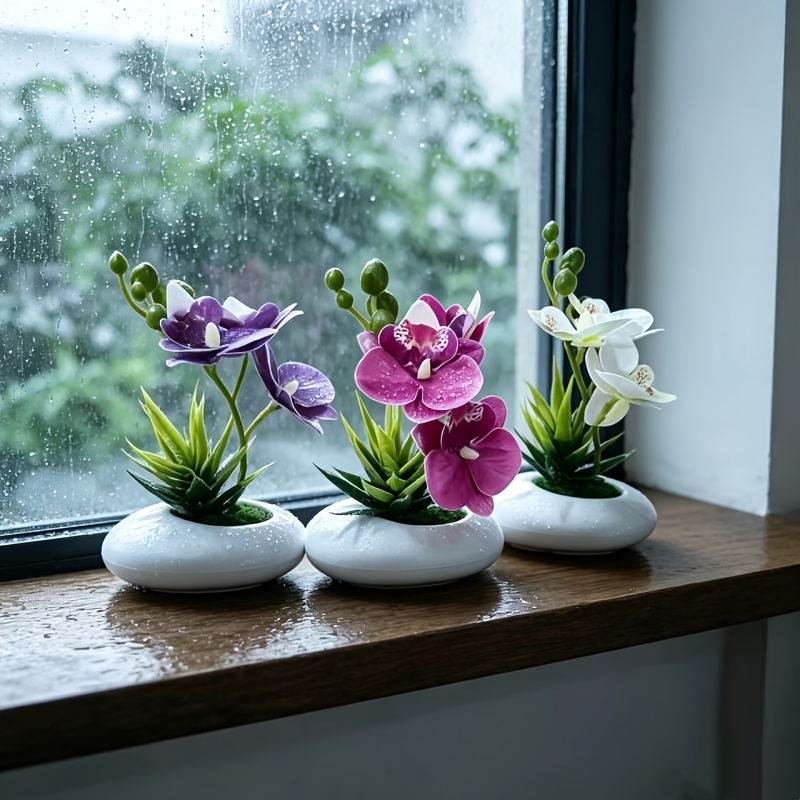 TEMU 3 pezzi di fiori decorativi per la casa con vasi, orchidea Phalaenopsis e piante grasse, vasi di spessi con piante, adatti per la decorazione ,