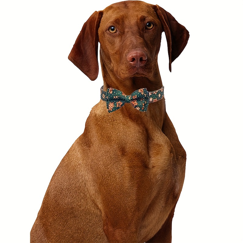 holiday dog collar with bow tie