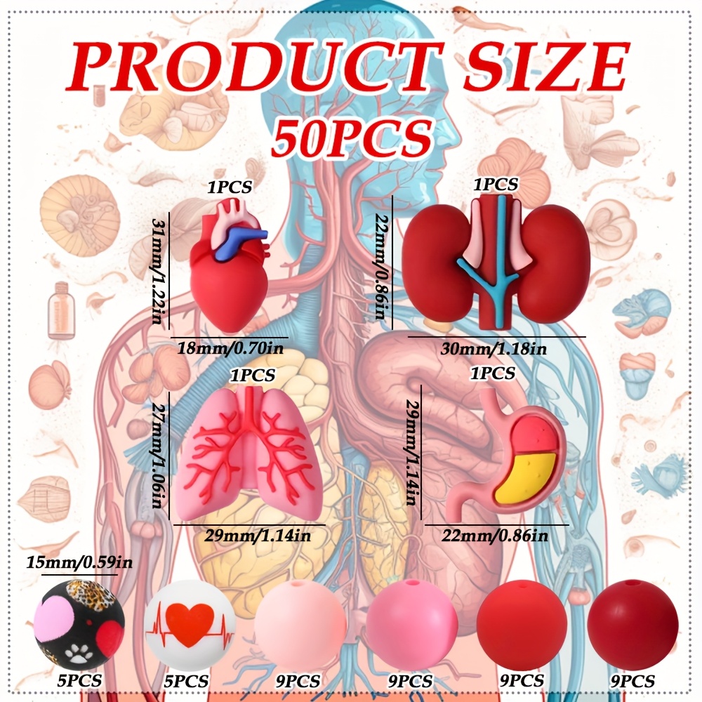 TEMU 50pcs Human Organ Silicone Focus Beads - Anatomical Kidney, Liver, Heart, And Lung Beads With Blood Vessels And Colored Sections, Suitable For