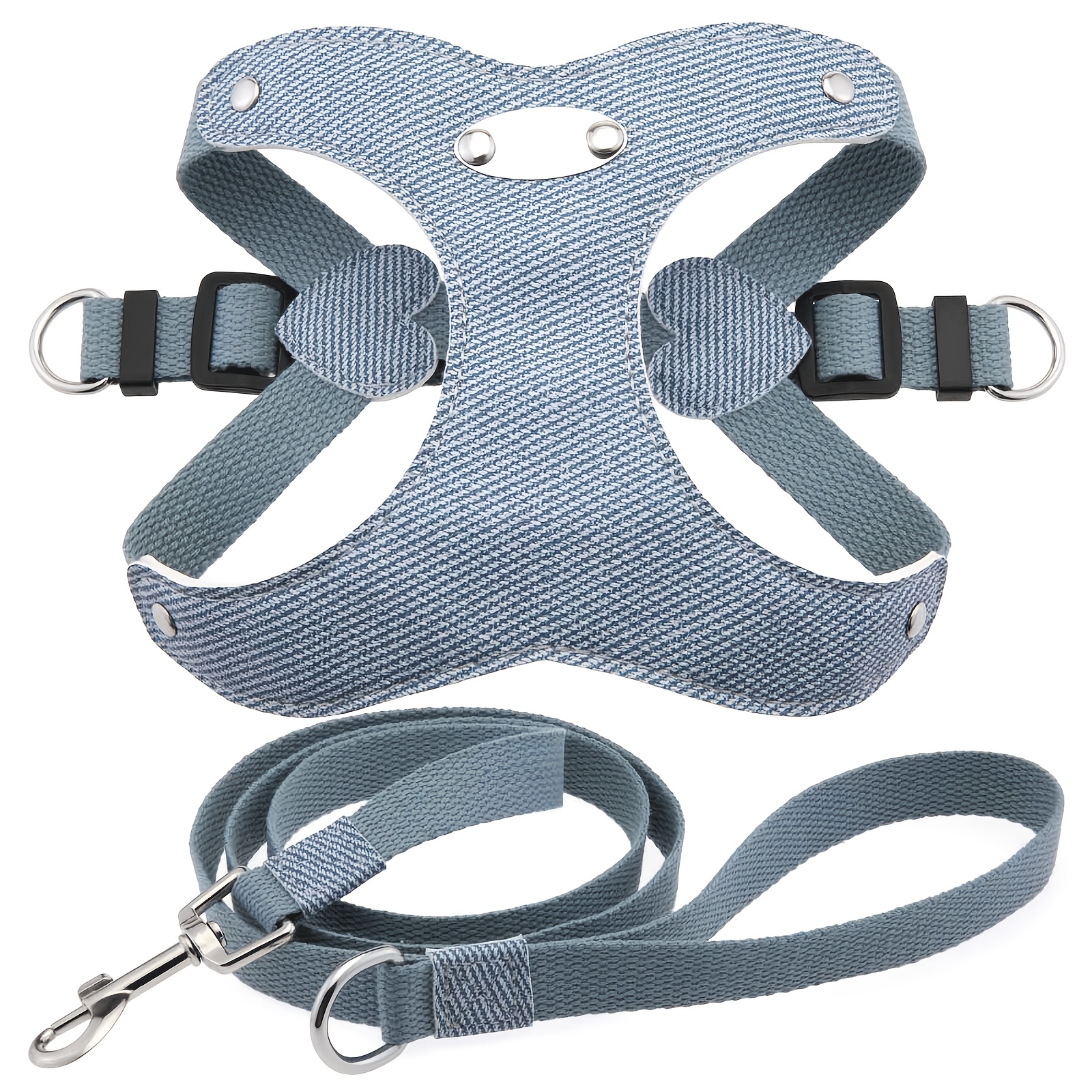 Custom Engraved Dog Harness and Leash Set with Personalized Name Plate