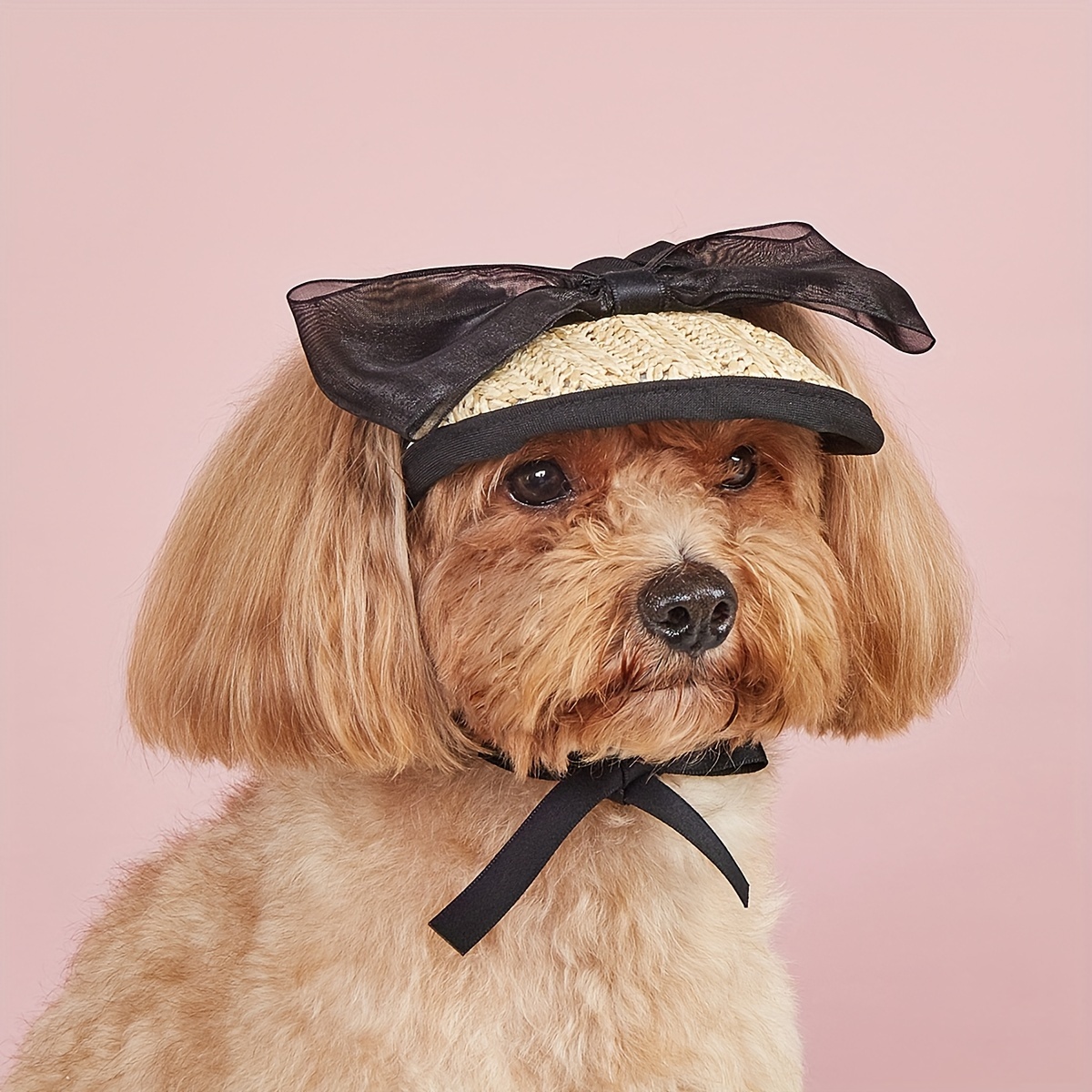 

Dog Lace Bow Hat - Adjustable Elastic Pet Cap For Small, Medium, Large Breeds | Hand Wash Only | Summer/spring/fall Season | Polyester Blend | Tie-on Style | Dog Accessories