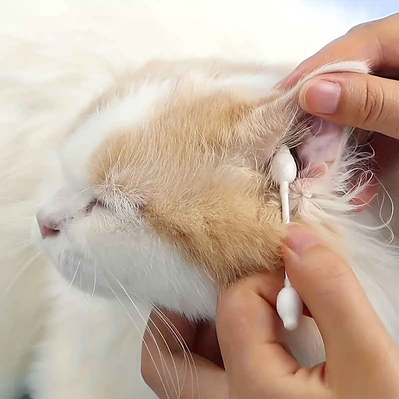 Gentle Pet Care Swabs Dual Gourd Tips Cat Ear Eye Temu