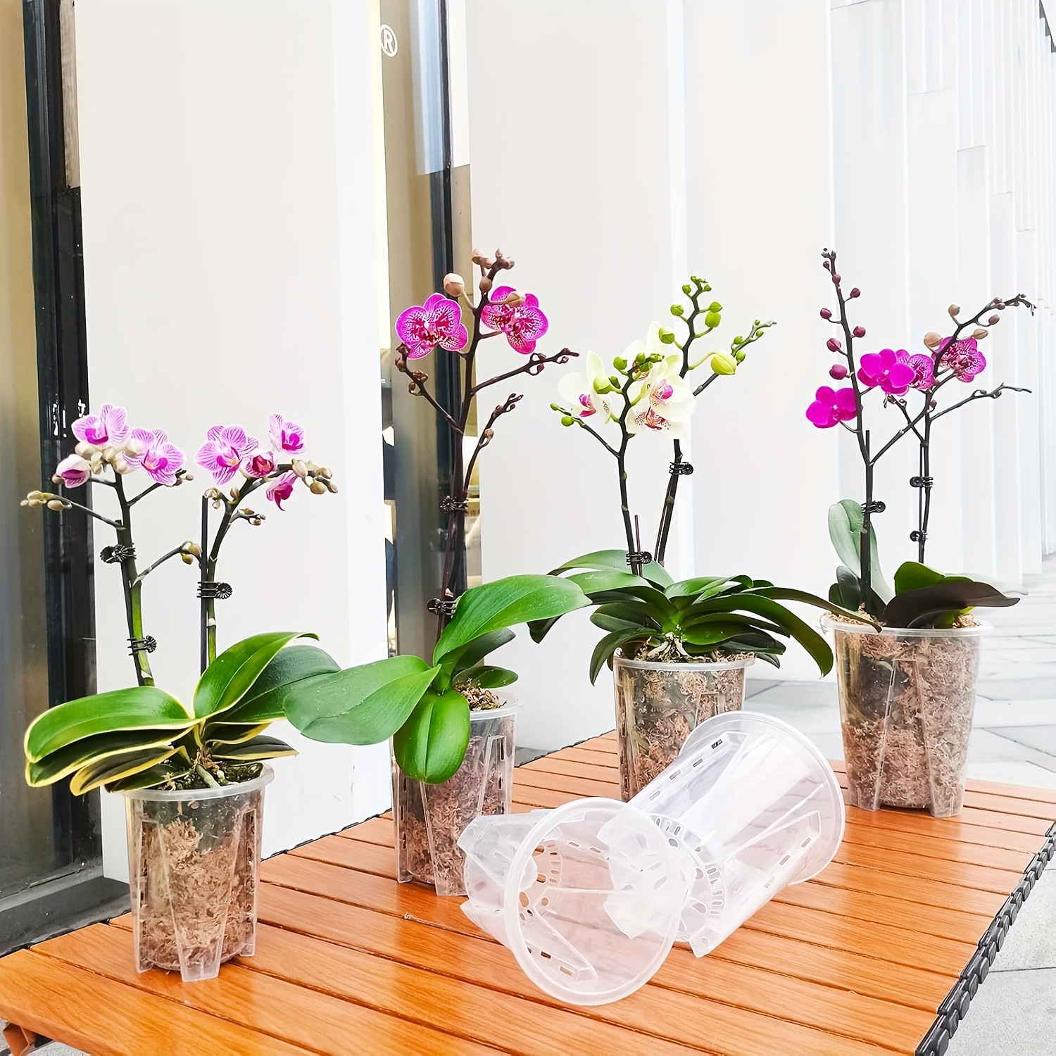 Orchideen-Topf 12 Stck - je 3 x 3,9 cm, 4,7 cm, 5,5 cm und 15,75 cm, Klare  Orchideentpfe mit Lcher zum Umtopfen, Kunststofftopf fr Innen- und  Auenbereich