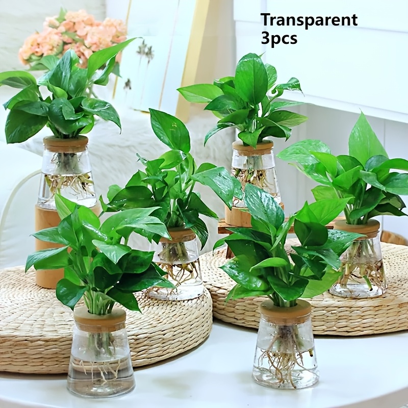 Image of 3pcs, Hydroponic Plant Vases, Transparent Plastic Breeding Pots, Diameter 3.5 Inches, With Soft Lids, Indoor Small Flower Pots, Used For Home Decoration, Flower Pots Gardening Gift,home Decor