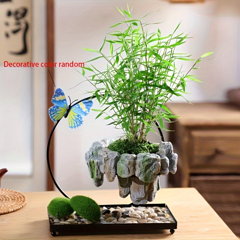 

Wen Zhu, Fa Cai Shu, Nan Tian Zhu, Mi Zhu, Moss Plant Bonsai, Iron Tree Floating Island, Suspended Iron Art Micro Landscape Pot (only Selling Bonsai, Not Including Plants) (gift Colors Are Random)