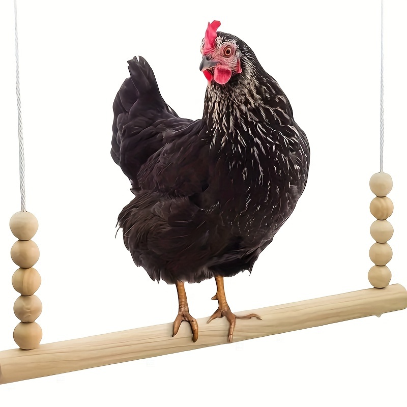 

Deluxe Wooden Swing Toy For Medium To Large Parrots & Pet Chickens - Durable Perch And Exercise Accessory