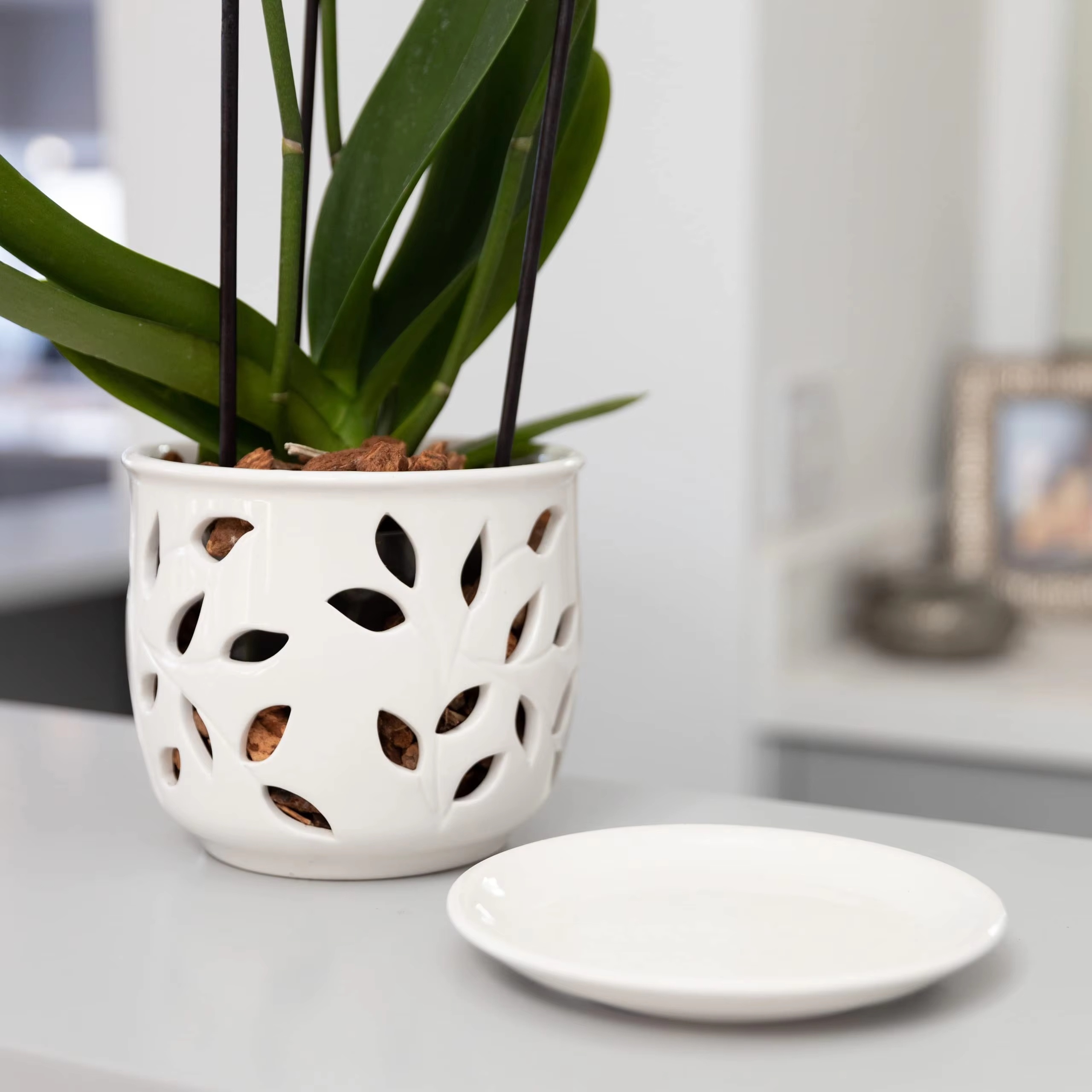 

Elegant Large Ceramic Orchid Planter With Tray - Breathable, Drainage- Design For Indoor/outdoor Use