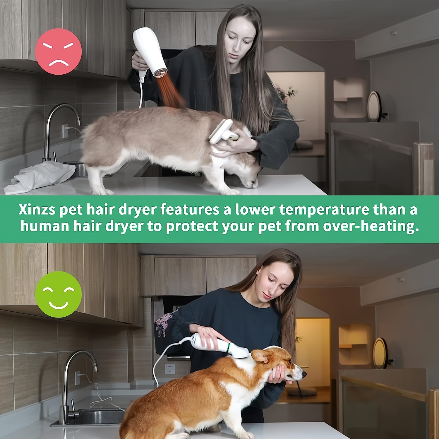 LIVEKEY 2-in-1 Pet Grooming Dryer with Adjustable Temperature And Slicker Brush for Dogs And Cats