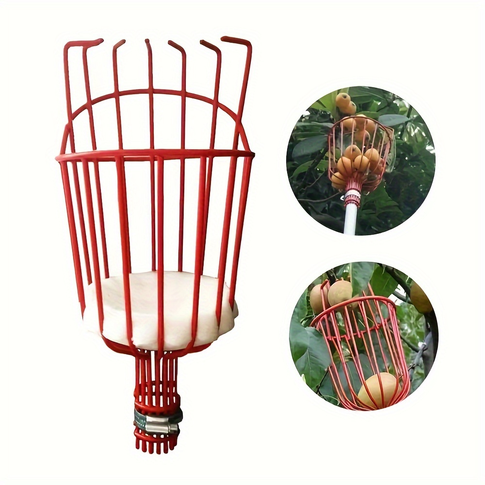 

Fruit Picker Tool With Basket - Ideal For , Oranges, Avocados, , , & - Metal Construction