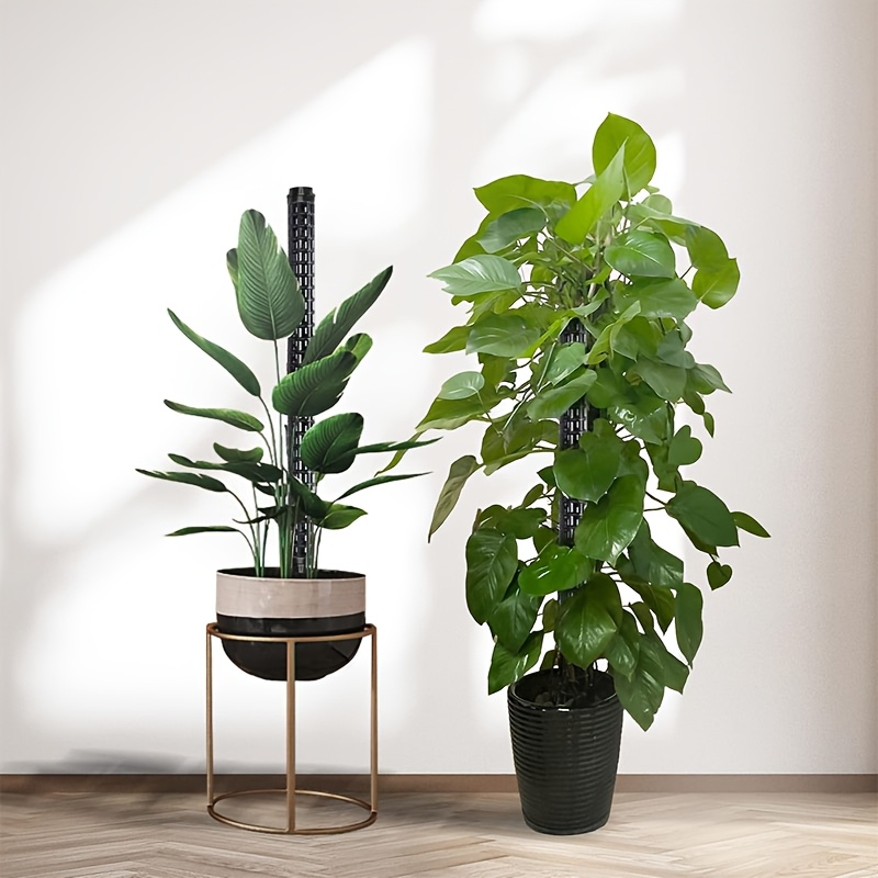 5pcs small moss pole monstera stackable refillable plastic - Temu Cyprus