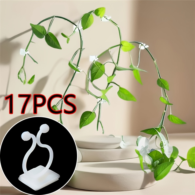 TEMU 3-17 piezas de clips autoadhesivos de soporte para plantas, soportes de pared invisibles para enredaderas, de jardín, estacas, enrejados, leitos