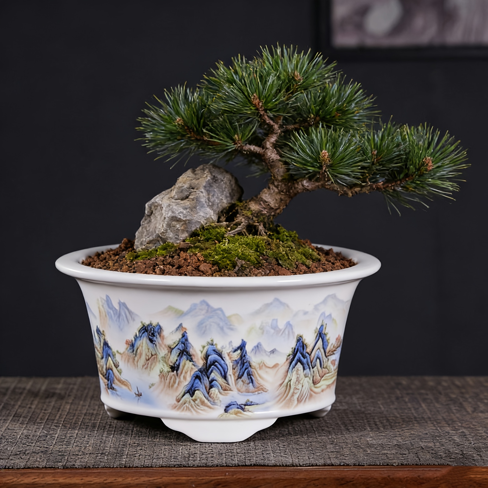 bonsai pots ceramic sold on Temu Australia