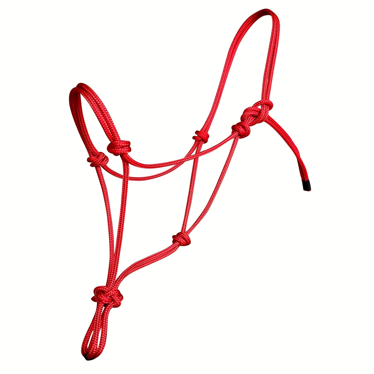 TEMU Juego de Arnés para Caballos - Arnés de Entrenamiento Súper Resistente con Cordón Rígido de 0.3 Pulgadas y 2 Nudos - Tamaño Estándar -