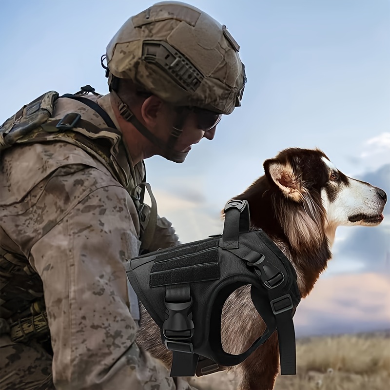 Easily Adjustable Dog Vest