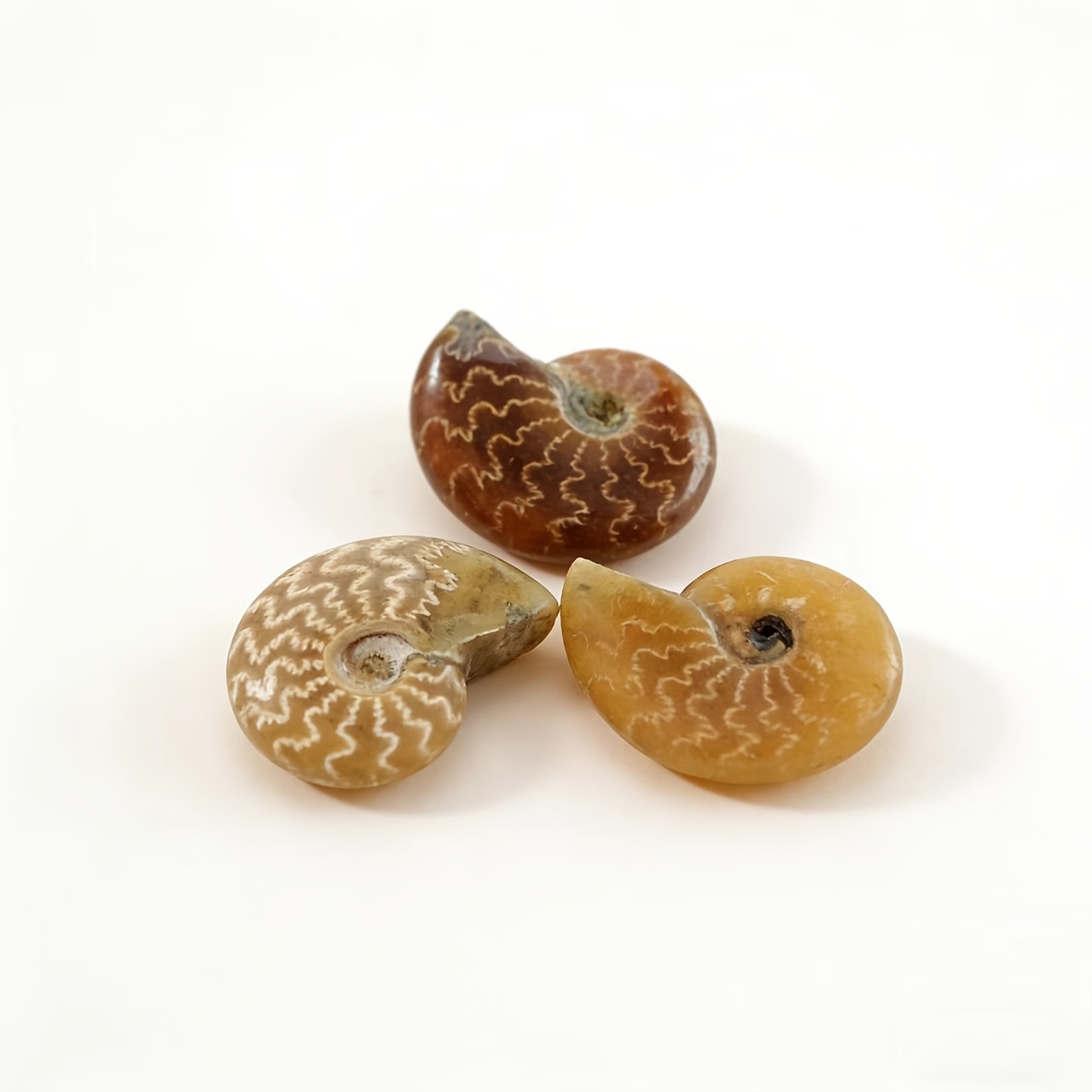 Hand-Carved Natural Chrysanthemum Stone, Seashell-Shaped Decoration