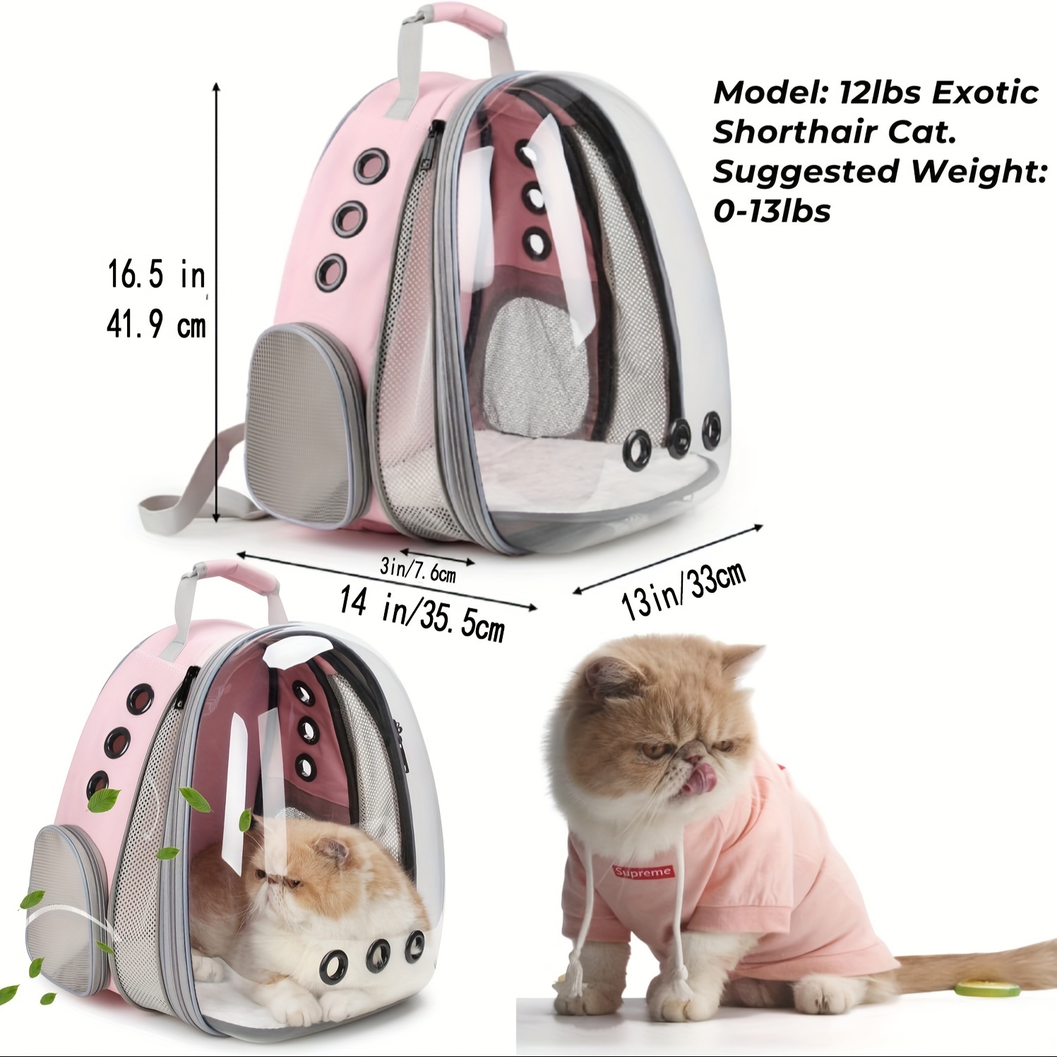 Capsule cat backpack on sale