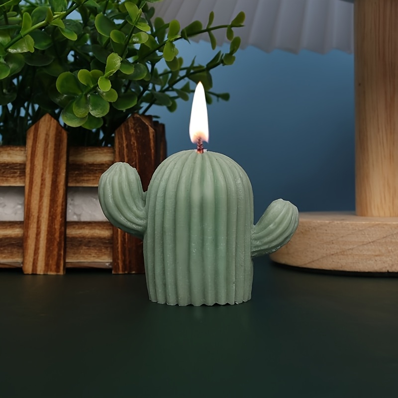 inawera kaktus limette dosierung Kaktus Dnger von Flora Boost fr gesundes Wachstum