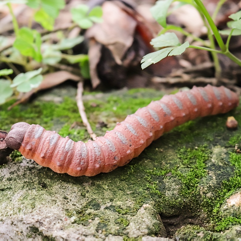 a soft caterpillar slug insect larva toy model - Temu Australia