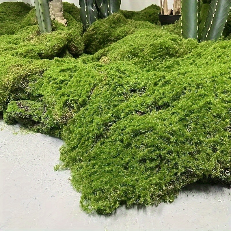 Reindeer Craft Moss Artificial Plant Preserved Green Diy Kit - Temu