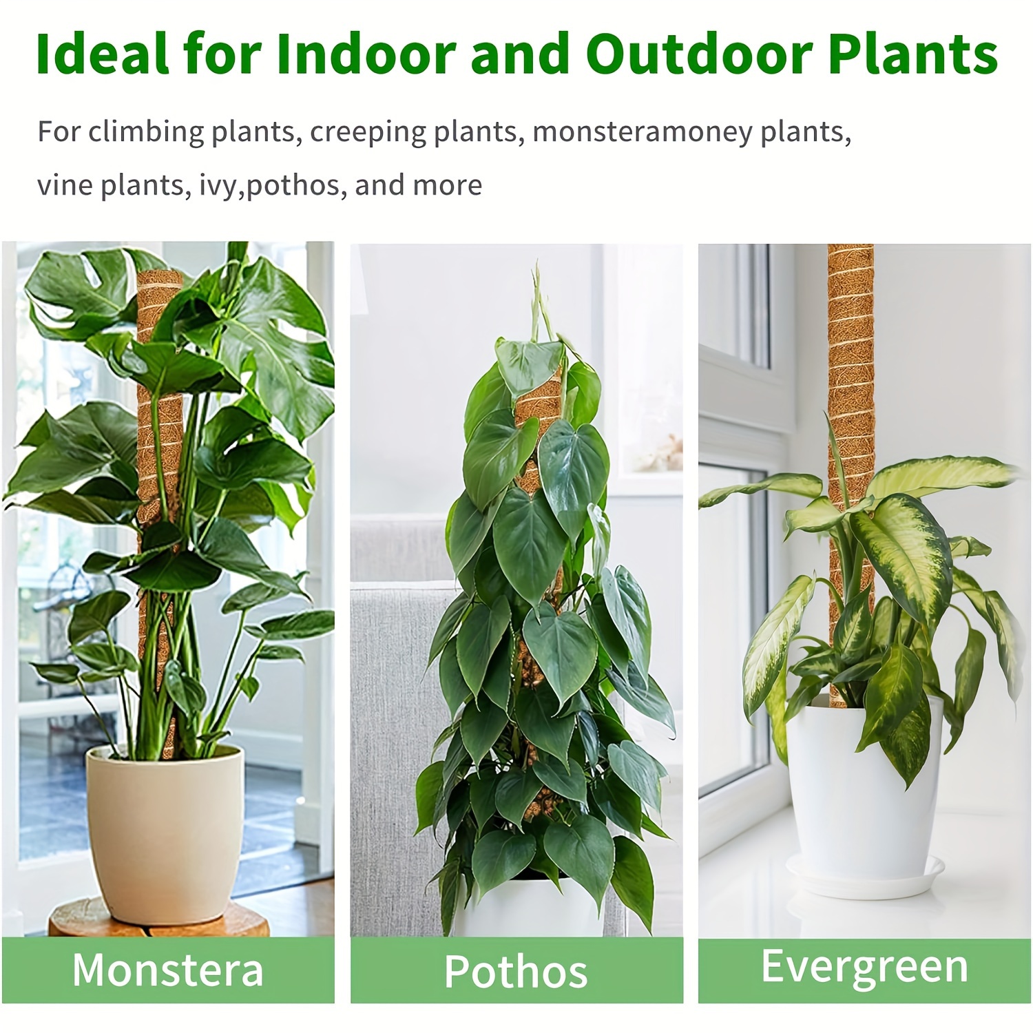 

Monstera Climbing Support Pole - Indoor Plant Extension Stake, Light Brown, Pvc & Wood