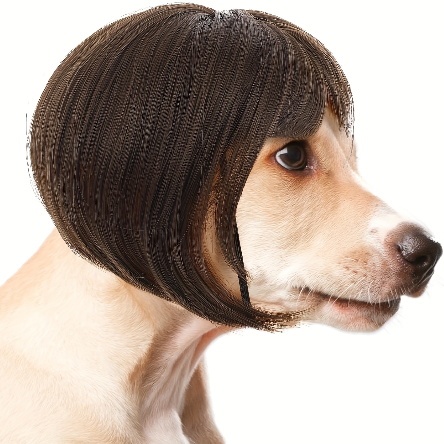 E-shop Lustige Hund & Katze Cosplay-Perücke – Verstellbares Haustierkostüm mit /Schwarz/Blond/Rosa Pony-Perücke, Bequeme & Langlebige Synthetik-Perücke