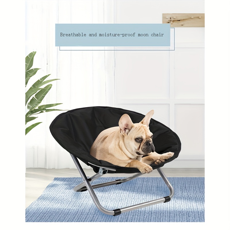 Papasan dog bed hotsell