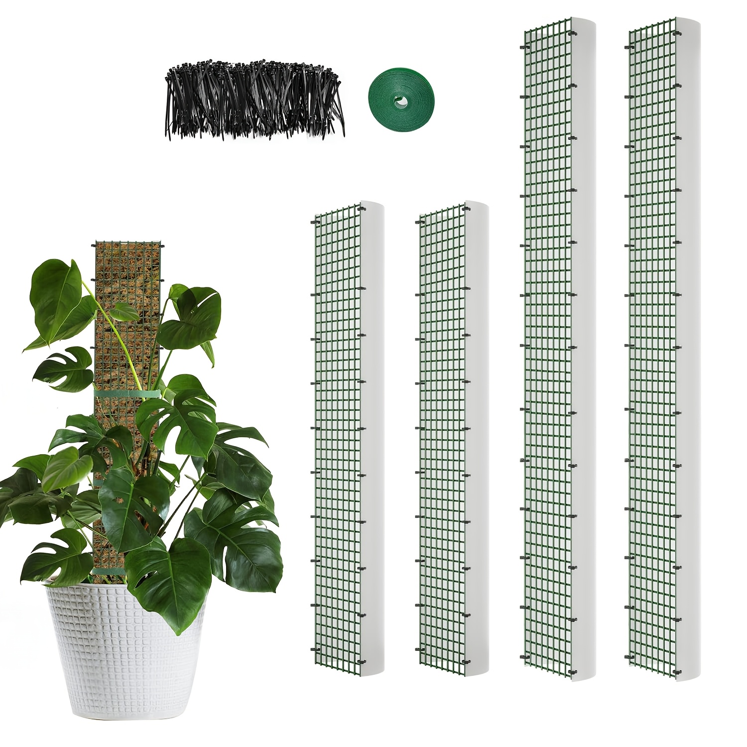 TEMU Lot de 4 piquets à mousse métalliques de D, 40"/24", piquets de sphaigne pour plantes grimpantes, Monstera, plantes grimpantes d'intérieur (2 de