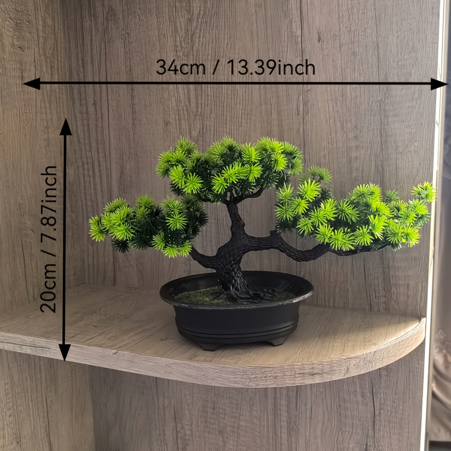 succulent wall hanging planter Wall Terrarium Kit main image 1