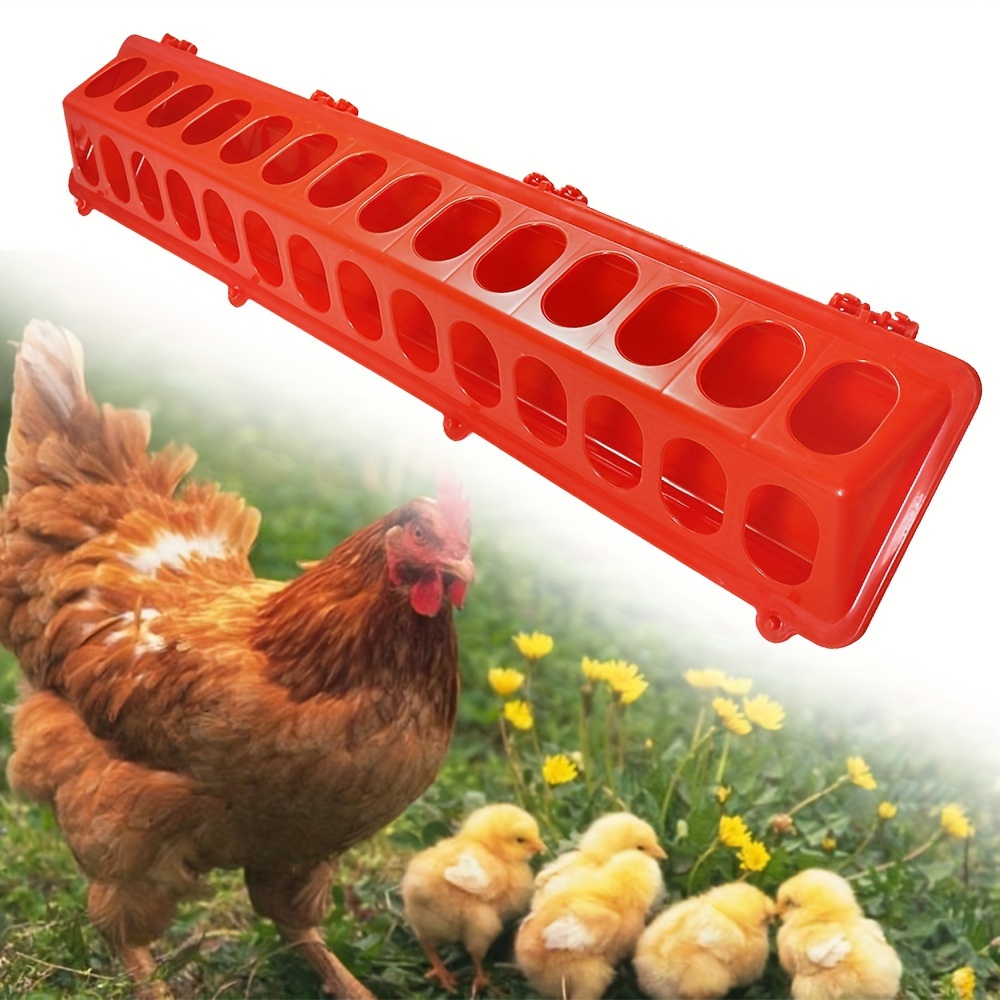 

Chicken Feeding Trough For Chickens, Ducks And Geese, Long Trough For Chicken Feeding, Water Trough, Feed Trough, Chicken Feeder, Feeder