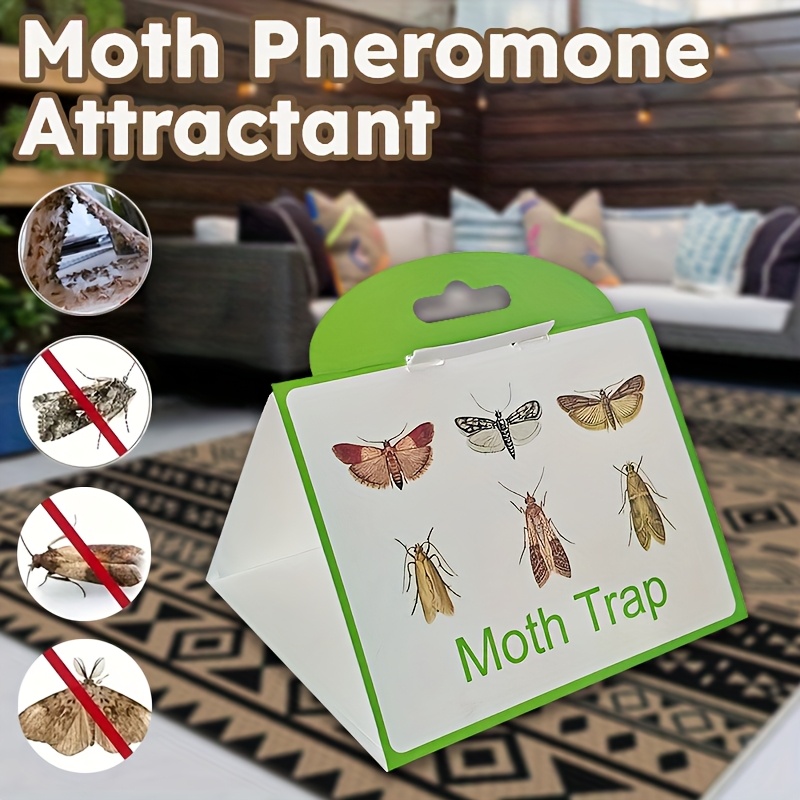   white background moth trap   insect catcher for flying moths traps and insects no electricity needed   for home or garden pest control insect traps for house indoor pest control   trap design   traps