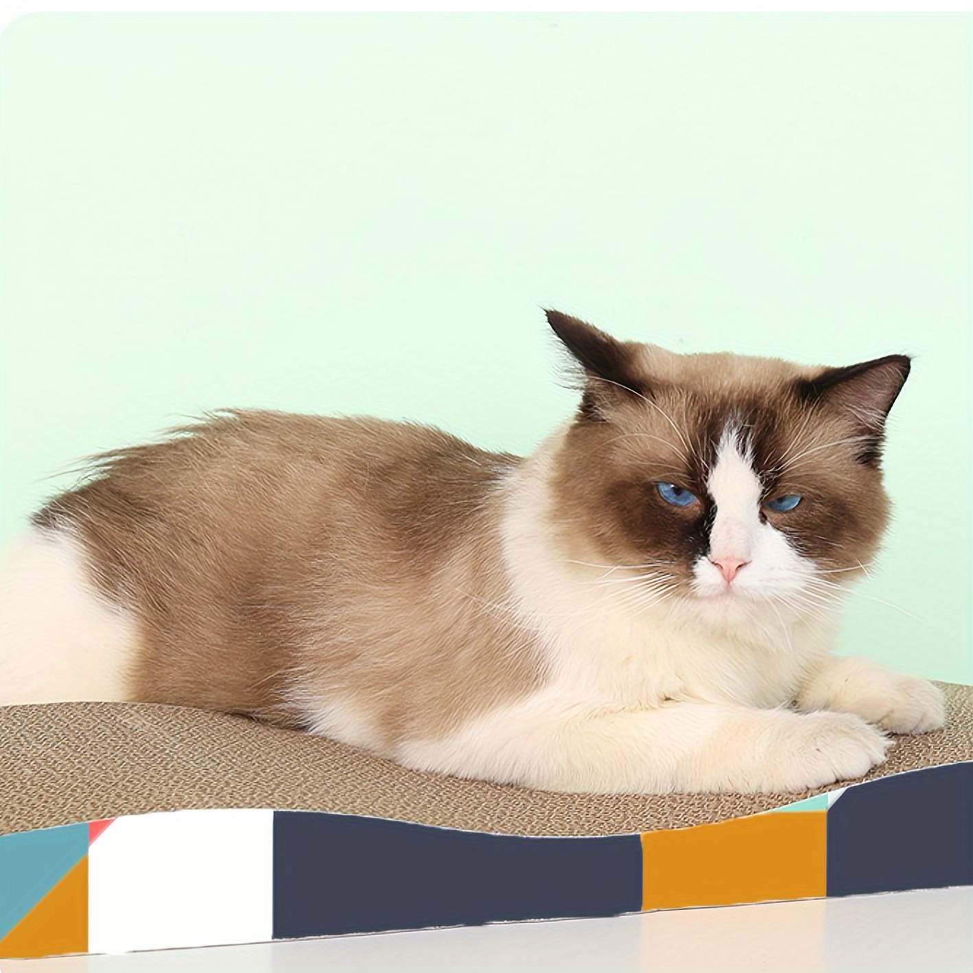 

Cat Scratcher Cardboard: Durable Cat Sofa For Indoor Cats - Scratching Board, Pet Bed, Sleeping Area
